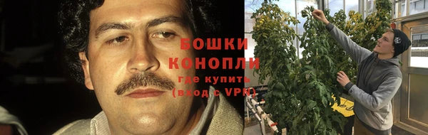 ПСИЛОЦИБИНОВЫЕ ГРИБЫ Горнозаводск