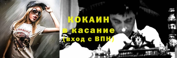мдпв Горно-Алтайск