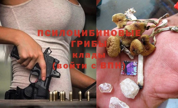COCAINE Гусев