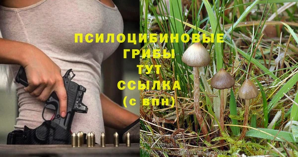 ПСИЛОЦИБИНОВЫЕ ГРИБЫ Горнозаводск