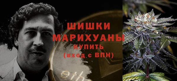 мдпв Горно-Алтайск